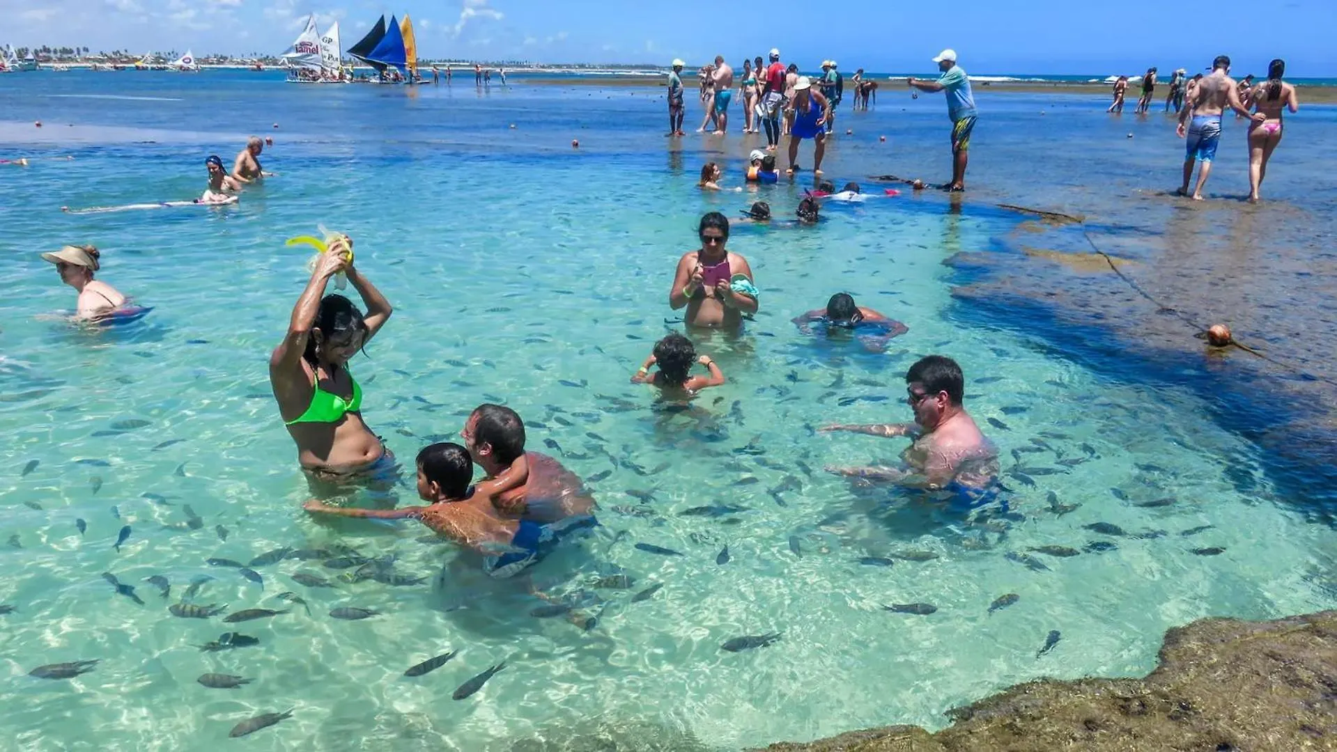 Flat N8 Porto De Galinhas C Piscina Apartamento Brasil